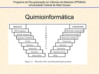 Quimioinformática Programa de Pós-graduação em Ciências de Materiais (PPGMAt) Universidade Federal de Mato Grosso 
