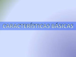 CARACTERÍSTICAS BÁSICAS