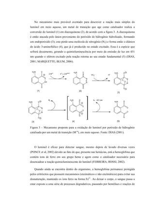 No mecanismo mais provável aventado para descrever a reação mais simples do
luminol em meio aquoso, um metal de transição que age como catalisador realiza a
conversão do luminol (1) em diazoquinona (2), de acordo com a figura 3. A diazoquinona
é então atacada pelo ânion proveniente do peróxido de hidrogênio hidrolisado, formando
um endoperóxido (3); este perde uma molécula de nitrogênio (N2) e forma então o diânion
do ácido 3-aminoftálico (4), que já é produzido no estado excitado. Essa é a espécie que
sofrerá decaimento, gerando a quimioluminescência por meio da emissão de luz em 431
nm quando o elétron excitado pela reação retorna ao seu estado fundamental (5) (DIAS,
2001; MARQUETTE; BLUM, 2006).

Figura 3 – Mecanismo proposto para a oxidação do luminol por peróxido de hidrogênio
catalisada por um metal de transição (M+n), em meio aquoso. Fonte: DIAS (2001).

O luminol é eficaz para detectar sangue, mesmo depois de lavado diversas vezes
(PONCE et al, 2002) devido ao fato de que, presente nas hemácias, está a hemoglobina que
contém íons de ferro em seu grupo heme e agem como o catalisador necessário para
desencadear a reação quimioluminescente do luminol (FERREIRA; ROSSI, 2002).
Quando ainda se encontra dentro do organismo, a hemoglobina permanece protegida
pelos eritrócitos que possuem mecanismos (enzimáticos e não enzimáticos) para evitar sua
desnaturação, mantendo os íons ferro na forma Fe2+. Ao deixar o corpo, o sangue passa a
estar exposto a uma série de processos degradativos, passando por hemólises e reações de

 