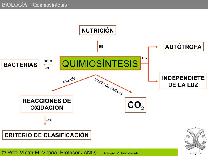 Resultado de imagen de Quimiosíntesis