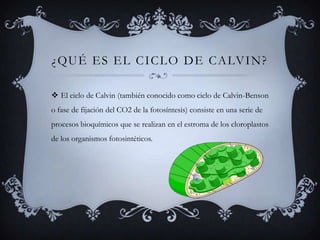 ¿Qué es el Ciclo de Calvin?El ciclo de Calvin (también conocido como ciclo de Calvin-Benson o fase de fijación del CO2 de la fotosíntesis) consiste en una serie de procesos bioquímicos que se realizan en el estroma de los cloroplastos de los organismos fotosintéticos. 
