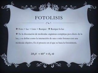 FotolisisFoto = luz + Lisis = Romper   Romper la luzEs la disociación de moléculas orgánicas complejas por efecto de la luz, y se define como la interacción de una o más fotones con una molécula objetivo. Es el proceso en el que se basa la fotosíntesis.2H2O ->4H++O2-4ē 