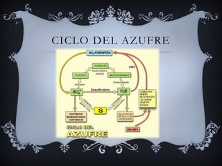 Ciclo del azufre