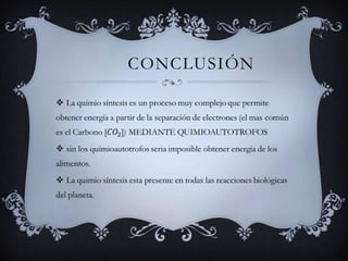 	ConclusiónLa quimio síntesis es un proceso muy complejo que permite obtener energía a partir de la separación de electrones (el mas común es el Carbono [CO2]) MEDIANTE QUIMIOAUTOTROFOSsin los quimioautotrofos seria imposible obtener energía de los alimentos.La quimio síntesis esta presente en todas las reacciones biológicas del planeta. 
