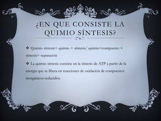 ¿En que consiste la quimio síntesis?Quimio síntesis= quimio + síntesis/ quimio=compuesto + síntesis= separaciónLa quimio síntesis consiste en la síntesis de ATP a partir de la energía que se libera en reacciones de oxidación de compuestos inorgánicos reducidos.