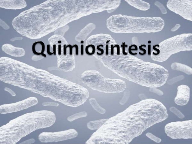 Resultado de imagen de Quimiosíntesis