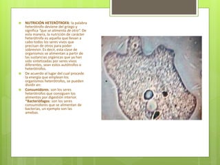  NUTRICIÓN HETERÓTROFA: la palabra
heterótrofo deviene del griego y
significa “que se alimenta de otro”. De
esta manera, la nutrición de carácter
heterótrofa es aquella que llevan a
cabo todos los seres vivos que
precisan de otros para poder
sobrevivir. Es decir, esta clase de
organismos se alimentan a partir de
las sustancias orgánicas que ya han
sido sintetizadas por seres vivos
diferentes, sean estos autótrofos o
heterótrofos.
 De acuerdo al lugar del cual procede
la energía que emplean los
organismos heterótrofos, se pueden
dividir en:
 Consumidores: son los seres
heterótrofos que consiguen los
alimentos por digestión interior.
*Bacteriófagos: son los seres
consumidores que se alimentan de
bacterias, un ejemplo son las
amebas.
*
 