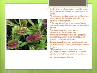  Herbívoros: son los seres consumidores que
se alimentan de plantas, un ejemplo son las
vacas.
*Omnívoros: son los seres consumidores que
se alimentan de plantas y animales, un
ejemplo son los cerdos.
* Carnívoros: son los seres consumidores
que se alimentan de animales, un ejemplo es
el león.
*Antropófagos: son seres que se
alimentarían de animales, pero
mayoritariamente de seres de su especie,
estos seres podrían haber existido en el
pasado o existir en el futuro.
 Descomponedores: son seres heterótrofos
de alimentación externa, un ejemplo son los
hongos.
*Mixótrofos: son los seres vivos que
producen su propio alimento y a la vez lo
consiguen de otros seres vivos, un ejemplo
son las plantas carnívoras.
 