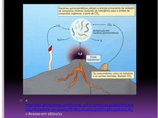 < http://api.photoshop.com/home_3af2c32eb511423aa826f7c9350b4e8a/adobe-px-assets/f618e3204efa45ebbf098225de204765 > Acesso em 26/02/11