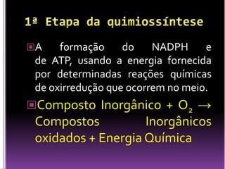 1ª Etapa da quimiossínteseA formação do NADPH e de ATP, usando a energia fornecida por determinadas reações químicas de oxirredução que ocorrem no meio.Composto Inorgânico + O2 -> Compostos Inorgânicos oxidados + Energia Química