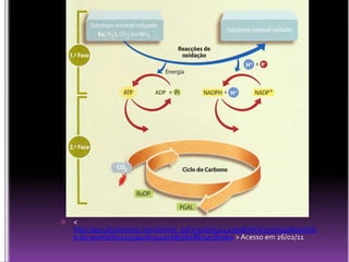 <  http://api.photoshop.com/home_3af2c32eb511423aa826f7c9350b4e8a/adobe-px-assets/6921329406544a5e852bc8674e3f09e2 > Acesso em 26/02/11