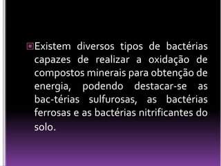 Existem diversos tipos de bactérias capazes de realizar a oxidação de compostos minerais para obtenção de energia, podendo destacar-se as bac­térias sulfurosas, as bactérias ferrosas e as bactérias nitrificantes do solo.