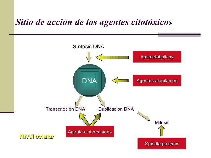 AGENTES ALQUILANTES DEFINICION PDF