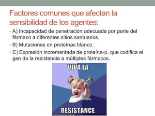 Factores comunes que afectan la
sensibilidad de los agentes:
• A) Incapacidad de penetración adecuada por parte del

fármaco a diferentes sitios santuarios.
• B) Mutaciones en proteínas blanco.
• C) Expresión incrementada de proteína-p. que codifica el
gen de la resistencia a múltiples fármacos.

 