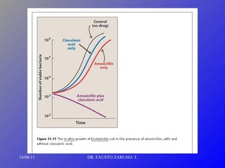 14/06/11 DR. FAUSTO ZARUMA T. 