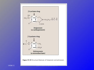 14/06/11 DR. FAUSTO ZARUMA T. 