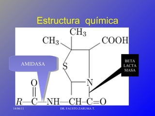 Estructura  química 14/06/11 DR. FAUSTO ZARUMA T. BETA LACTAMASA AMIDASA 
