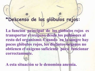 *Descenso de los glóbulos rojos:
La función principal de los glóbulos rojos es
transportar el oxígeno desde los pulmones al
resto del organismo. Cuando en la sangre hay
pocos glóbulos rojos, los distintos órganos no
obtienen el oxígeno suficiente para funcionar
correctamente.
A esta situación se le denomina anemia.
 