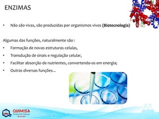 ENZIMAS
• Não são vivas, são produzidas por organismos vivos (Biotecnologia)
Algumas das funções, naturalmente são :
• Formação de novas estruturas celulas,
• Transdução de sinais e regulação celular,
• Facilitar absorção de nutrientes, convertendo-os em energia;
• Outras diversas funções...
 