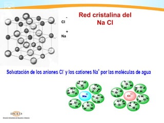-   Red cristalina del
Cl            Na Cl
  +
Na
 