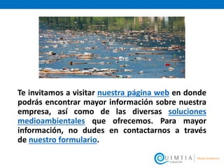 Te invitamos a visitar nuestra página web en donde
podrás encontrar mayor información sobre nuestra
empresa, así como de las diversas soluciones
medioambientales que ofrecemos. Para mayor
información, no dudes en contactarnos a través
de nuestro formulario.
 