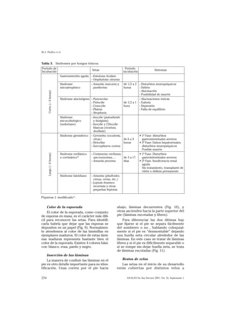 M.A. Pinillos et al



Tabla 3. Síndromes por hongos tóxicos.
Período de                                                                  Período
                                                  Setas                                             Síntomas
Incubación                                                                incubación
                           Gastroenteritis aguda - Entoloma lividum
                                                 - Omphalotus olearius
                           Síndrome              - Amanita muscaria y     de 1/2 a 2 - Disturbios neuropsíquicos
                           micoatropínico          pantherina             horas      - Delirio
                                                                                     - Alucinación
       Corto (< 6 horas)




                                                                                     - Posibilidad de muerte
                           Síndrome alucinógeno - Paneneolus                         - Alucinaciones visivas
                                                - Psilocibe               de 1/2 a 1 - Euforia
                                                - Conocybe                hora       - Depresión
                                                - Pluteus                            - Falta de equilibrio
                                                - Stropharia
                           Síndrome             - Inocybe (patoullardii
                           micocolinérgico        y fastigiata)
                           (sudoriano)          - Inocybe y Clitocybe
                                                  blancas (rivulosa,
                                                  dealbata)
                           Síndrome giromítrico - Gyromitra (esculenta,                • 1ª Fase: disturbios
                                                  otras)                de 6 a 9         gastrointestinales severos
                                                - Helvellas             horas          • 2ª Fase: Daños hepatorenales,
                                                - Sarcosphaera eximia                    disturbios neuropsíquicos
                                                                                         Posible muerte
                           Síndrome orellánico   - Cortunarius orellanus,              • 1ª Fase. Disturbios
       Largo (> 6 horas)




                           o cortinárico36         speciosissimus,…       de 3 a 17      gastrointestinales severos
                                                 - Amanita proxima        días         • 2ª Fase. Insuficiencia renal
                                                                                         aguda
                                                                                         Sin tratamiento, transplante de
                                                                                         riñón o diálisis permanente
                           Síndrome faloidiano   - Amanita (phalloides,
                                                   virosa, verna, etc.)
                                                 - Lepiota brunneo-
                                                   incarnata y otras
                                                   pequeñas lepiotas

Piqueras J. modificado18.


    Color de la esporada                                            abajo, láminas decurrentes (Fig. 10), y
    El color de la esporada, como conjunto                          otras ascienden hacia la parte superior del
de esporas en masa, es el carácter más difí-                        pie (láminas escotadas y libres).
cil para reconocer las setas. Para identifi-                            Para diferenciar las dos últimas hay
carla habría que dejar que las esporas se                           que fijarse si el pie se separa fácilmente
depositen en un papel (Fig. 9). Normalmen-                          del sombrero o no , hablando coloquial-
te atendemos al color de las laminillas en                          mente si el pie es “desmontable” dejando
ejemplares maduros. El color de estas lámi-                         una huella neta circular alrededor de las
nas maduras representa bastante bien el                             láminas. En este caso se tratar de láminas
color de la esporada. Existen 4 colores bási-                       libres y si el pie es difícilmente separable o
cos: blanco, rosa, pardo y negro.                                   si se rompe sin dejar huella neta, se trata
                                                                    de láminas escotadas (Fig. 11).
     Inserción de las láminas
     La manera de confluir las láminas en el                           Restos de velos
pie es otro detalle importante para su iden-                           Las setas en el inicio de su desarrollo
tificación. Unas corren por el pie hacia                            están cubiertas por distintos velos a

254                                                                         ANALES Sis San Navarra 2003, Vol. 26, Suplemento 1
 
