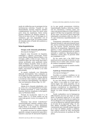INTOXICACIÓN POR ALIMENTOS, PLANTAS Y SETAS


modo de telilla fina que la protegen de las          en la que puede presentarse ictericia,
inclemencias externas. Cuando se van                 hepatomegalia blanda y dolorosa, trastor-
desarrollando muchas especies pierden                nos de conciencia e incluso coma. Los
completamente los restos de estos velos              casos más graves fallecen en fallo hepático
pero otras los mantienen. Estos restos               agudo 5-10 días tras la ingestión. Del resto
pueden reflejarse de distinta manera: 1)             de los casos, una tercera parte desarrolla
Volva en la base del pie. 2) Verrugas en el          tubulopatía secundaria entre los días 5 y
sombrero, que son separables con el                  15, que evoluciona espontáneamente a la
dedo. 3) Anillo en el pie. 4) Cortina a modo         curación.
de telaraña entre el borde del sombrero y                Tratamiento: sintomático y de soporte.
el pie (Fig. 11).                                    Diuresis forzada lo más precozmente posi-
                                                     ble, previa cuantiosa reposición de fluidos
Setas hepatotóxicas                                  por vía venosa. Envíar muestras para
                                                     detección de amanitinas. Aspiración naso-
    Oronja verde (Amanita phalloides)                gástrica o mejor nasoduodenal continua,
    Descripción biológica26,27,30                    alternada con la administración de carbón
                                                     activado y catárticos. Bencil-penicilina y
    Especie muy frecuente en hayedos,                silibinina a dosis altas. El paciente debe
robledales y algunos carrascales. Posee              ser trasladado a UCI.
carne fibrosa, láminas blancas libres y con
verrugas, anillo y volva en saco. Tiene un              En los casos que a las 48-60 horas
sombrero típico de color verde oliva más o           puede preverse una mala evolución se con-
menos acentuado, pero pudiendo variar                tactará con el centro más cercano capaz
desde el blanco al pardo. Tiene un olor y            de realizar transplante hepático.
sabor agradables. Un carácter importante                La mortalidad actual en nuestro medio
es que al microscopio sus esporas son ami-           es del 5-10 %18 (Tabla 3).
loides, reaccionan con Melzer a un color
gris-azulado.                                           Lepiota gr. brunneoincarnata
    Se puede confundir con Gibelurdin                   Descripción biológica26,27
(Russula heterophylla). Esta confusión ya
se ha dado en varias ocasiones en Navarra                Fructifica en prados y jardines; no es
y en el País Vasco debido a la gran afición          frecuente en prados naturales y es más
a recolectar estas especies, sobre todo en           habitual en jardines.
las comarcas vascoparlantes. Las diferen-                Es una seta fibrosa con láminas blan-
cias son bastantes obvias (Figs. 12, 13)32.          cas, libres y con anillo en el pie más o
    Toxicología33                                    menos fugaz. Son setas pequeñas, de no
                                                     más de 10 cm de sombrero que presentan
    Admás de la Amanita (phalloides, viro-
                                                     escamas concéntricas no separables. El
sa, verna, etc.), son hepatotóxicas la Lepio-
                                                     pie tiene un anillo que en algunos casos lo
ta brunneo-incarnata y otras pequeñas
                                                     pierde. La carne enrojece ligeramente al
lepiotas; Galerina marginata y otras galeri-
                                                     corte.
nas y la Pholiotina filaris.
    Período de incubación: entre 9 y 15                  Puede confundirse con la Galamperna
horas. Entre 6 y 9 horas suelen ser los              (Macrolepiota procera) que tiene un som-
casos más graves. Leves, si es mayor de 15           brero, en general, mayor de 15 cm, mien-
horas.                                               tras que la especie descrita no supera los
                                                     10 cm. Respecto a los champiñones (Agari-
    Síntomas: fase inicial “coleriforme”             cus sp) la diferencia radicaría básicamente
caracterizada por: náuseas, vómitos, inten-          en el color de la esporada32 (Figs. 14, 15).
so cuadro diarreico y dolor abdominal.               Esta última confusión puede darse fre-
Puede llevar a un estado de deshidrata-              cuentemente por coincidir ambas especies
ción, hemoconcentración y oliguria.                  en el tipo de hábitat, prados y jardines.
    Es posible una fase de mejoría relativa          Esta especie mortal ha sido encontrada
aparente, aunque en general se pasa direc-           con cierta frecuencia en jardines de Pam-
tamente a una fase de afectación hepática,           plona.

ANALES Sis San Navarra 2003, Vol. 26, Suplemento 1                                            255
 