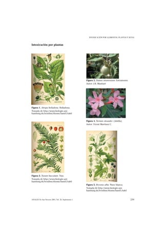 INTOXICACIÓN POR ALIMENTOS, PLANTAS Y SETAS


Intoxicación por plantas




                                                     Figura 2. Datura stramonium. Estramonio.
                                                     Autor: J.R. Manhart




Figura 1. Atropa belladona. Belladona.
Tomada de http://www.biologie.uni-
hamburg.de/b-online/thome/band1/tafel


                                                     Figura 4. Nerium oleander. (Adelfa).
                                                     Autor: Vicent Martínez C.




Figura 3. Taxum baccatum. Tejo.
Tomada de http://www.biologie.uni-
hamburg.de/b-online/thome/band1/tafel
                                                     Figura 5. Bryonia alba. Nuez blanca.
                                                     Tomada de http://www.biologie.uni-
                                                     hamburg.de/b-online/thome/band1/tafel



ANALES Sis San Navarra 2003, Vol. 26, Suplemento 1                                              259
 