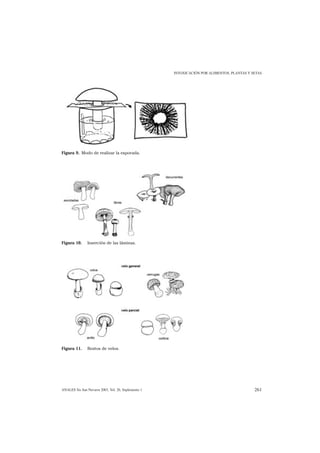 INTOXICACIÓN POR ALIMENTOS, PLANTAS Y SETAS




Figura 9. Modo de realizar la esporada.




Figura 10.      Inserción de las láminas.




Figura 11.      Restos de velos.




ANALES Sis San Navarra 2003, Vol. 26, Suplemento 1                                          261
 