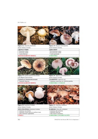 M.A. Pinillos et al




Figura 12. Amanita phalloides.         Figura 13. Russula heterophylla.
Javier Gómez Urrutia                   Javier Gómez Urrutia
 ORONJA VERDE                          GIBELURDIN
 * Presenta volva                      * No presenta volva
 * Presenta anillo                     * No presenta anillo
 * Carne fibrosa                       * Carne granuda
 POTENCIALMENTE MORTAL                 COMESTIBLE




Figura 14. Lepiota brunneoincarnata.   Figura 15. Agaricus pseudopratensis.
Luis Miguel García Bona                Javier Gómez Urrutia
 Lepiota gr. brunneoincarnata          CHAMPIÑÓN (Agaricus sp)
 * Láminas blancas                     * Láminas rosas que se vuelven pardas
 POTENCIALMENTE MORTAL                 COMESTIBLE Y TOXICOS




Figura 16. Entoloma lividum.           Figura 17. Clitocybe nebularis.
Javier Gómez Urrutia                   Javier Gómez Urrutia
 SETA ENGAÑOSA Entoloma lividum        ILARRAKA Clitocybe nebularis
 * Láminas escotadas                   * Láminas decurrentes
 * Láminas crema que se vuelven rosa   * Láminas blancas
 * Olor harinoso agradable             * Olor fuerte exclusivo
 TÓXICA                                COMESTIBLE CON PRECAUCIÓN


262                                             ANALES Sis San Navarra 2003, Vol. 26, Suplemento 1
 