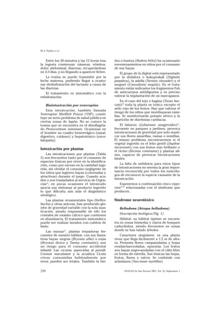 M.A. Pinillos et al


    Entre los 30 minutos y las 12 horas tras    dra o huntza (Hedera hélix) ha ocasionado
la ingesta comienzan: náuseas, vómitos,         envenenamientos en niños por el consumo
dolor abdominal, diarreas, recuperándose        de sus hayas.
en 2-3 días, y no llegando a aparecer fiebre.      El grupo de la digital está representado
    La toxina se puede transmitir por la        por la dedalera o kukuprakak (Digitalis
leche materna, pudiendo llegar a ocasio-        purpúrea), la adelfa (Nerium oleander) y el
nar deshidratación del lactante a causa de      muguet (Convallaria majalis). En el trata-
las diarreas.                                   miento están indicados los fragmentos Fab
   El tratamiento es sintomático con la         de anticuerpos antidigoxina y es preciso
rehidratación.                                  valorar la implantación de un marcapasos.
                                                    En el caso del tejo o hagina (Taxus bac-
      Biointoxicación por venerupino            cata)20 toda la planta es tóxica excepto el
                                                arilo rojo de los frutos. Hay que valorar el
    Esta intoxicación, también llamada
                                                riesgo de los niños que mordisquean rami-
Venerupine Shellfish Poison (VSP), consti-
                                                llas. Se monitorizarán potasio sérico y la
tuye un serio problema de salud pública en
                                                aparición de disritmias cardiacas.
ciertas zonas de Japón. No se conoce la
toxina que se encuentra en el dinoflagela-          El laburno (Laburnum anagyroides)21,
do Prorocentrum minimum. Ocasionan en           frecuente en parques y jardines, provoca
el hombre un cuadro hemorrágico (nasal,         intoxicaciones de gravedad por solo masti-
digestivo, cutáneo) y hepatotóxico (ence-       car sus flores amarillas, ramas o semillas.
falopatía).                                     El mismo problema encontraremos si el
                                                vegetal ingerido es el leño gentil (Daphne
Intoxicación por plantas                        mezereum) con sus frutos rojo brillante o
                                                el ricino (Ricinus communis) y plantas afi-
    Las intoxicaciones por plantas (Tabla       nes, capaces de provocar intoxicaciones
2) son frecuentes tanto por el consumo de       fatales.
especies tóxicas por error en la identifica-
ción, como por exceso en la cantidad inge-          La falta de antídotos para estos tipos
rida, sin olvidar el consumo negligente de      de intoxicaciones no merma la gran impor-
los niños que ingieren bayas (coloreadas y      tancia reconocida por todos los toxicólo-
atractivas) durante el juego. Cuando acu-       gos de reconocer la especie causante de la
den o son trasladados al servicio de Urgen-     intoxicación.
cias18, en pocas ocasiones el intoxicado            Exponemos a continuación cinco espe-
asocia sus síntomas al producto ingerido        cies22-25 relacionadas con el síndrome que
lo que dificulta aún más el diagnóstico         producen.
etiológico.
    Las plantas ornamentales tipo Dieffen-      Síndrome neurotóxico
bachia y otras aráceas, han producido glo-
sitis de gravedad variable con la sola mas-        Belladona (Atropa belladona)
ticación, siendo responsable de ello los
cristales de oxalato cálcico que contienen         Descripción biológica (Fig. 1)
en abundancia. El tratamiento sintomático           Hábitat: su hábitat óptimo se encuen-
puede ser realizar lavados con cubitos de       tra en zonas húmedas y claros de bosques
hielo.                                          caducifolios, siendo frecuentes en zonas
    Las nuezas19, plantas trepadoras fre-       donde se han talado árboles.
cuentes de nuestro hábitat, con sus llama-          Caracteres singulares: es una planta
tivas bayas -negras (Bryonia alba) o rojas      vivaz que llega fácilmente a 1,5 m de altu-
(Bryonia dioica y Tamus communis)- son          ra. Presenta flores campanuladas y hojas
un riesgo para el consumo accidental            ovadas-lanceoladas, opuestas. Los frutos
infantil. Las cicutas -parecidas al perejil-    son bayas negro-azuladas con el cáliz libre
Conium maculatum y la acuática Cicuta           en forma de estrella. Son tóxicas las hojas,
virosa consumidas habitualmente por             frutos, flores y raíces. Se confunde con
error, pueden ser letales. También la hie-      arándanos (Vaccinum myrtillus).

250                                                   ANALES Sis San Navarra 2003, Vol. 26, Suplemento 1
 