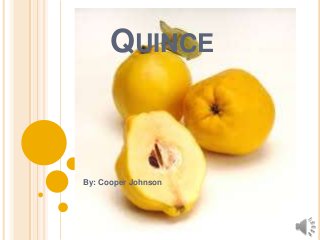 QUINCE

By: Cooper Johnson

 