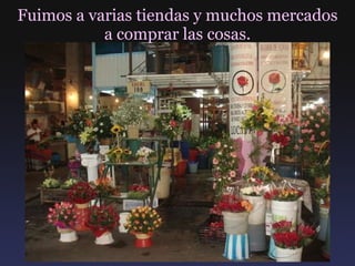 Fuimos a varias tiendas y muchos mercados a comprar las cosas. 