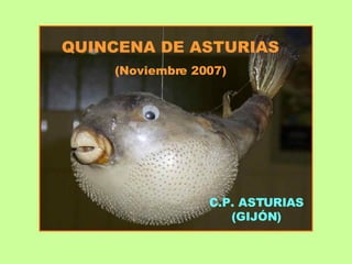 QUINCENA DE ASTURIAS (Noviembre 2007) C.P. ASTURIAS (GIJÓN) 