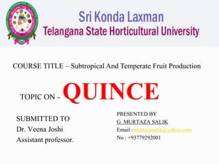 COURSE TITLE – Subtropical And Temperate Fruit Production
TOPIC ON – QUINCE
SUBMITTED TO
Dr. Veena Joshi
Assistant professor.
PRESENTED BY
G. MURTAZA SALIK
Email : murtazasalik@yahoo.com
No : +93779292001
 