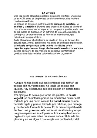 LA MITOSIS
Una vez que la célula ha realizado, durante la interface, una copia
de su ADN, entra en un proceso de división celular, que recibe el
nombre de mitosis.
La mitosis se divide en cuatro fases: la profase, la metafase, la
anafase y la telofase. Durante este proceso, el núcleo se divide en
dos, y los cromosomas se separan en dos grupos iguales, cada uno
de los cuales se dispone en un extremo de la célula. Alrededor de
cada grupo de cromosomas se forman las membranas, que
delimitarán los dos núcleos.
En la última fase, el citoplasma se divide en dos y se forman dos
células hijas. Ahora, cada célula hija entra en un nuevo ciclo celular.
La mitosis asegura que cada una de las células de un
organismo pluricelular tenga el mismo número de cromosomas
que las demás y, de esa manera, se conserve la información
genética que determina las características del organismo.
LOS DIFERENTES TIPOS DE CÉLULAS
Aunque hemos dicho que los elementos que forman las
células son muy parecidos, no todas las células son
iguales. Hay estructuras que solo existen en ciertos tipos
de células.
Por ejemplo, la célula que forma las plantas, la célula
vegetal, se caracteriza porque su membrana celular está
rodeada por una pared celular. La pared celular es una
cubierta rígida y gruesa formada por celulosa, que protege
y mantiene la forma de la célula. En la célula vegetal existe
también una gran vacuola que actúa de almacén y ocupa
un gran espacio en su citoplasma. Los cloroplastos son
orgánulos que solo están presentes en las células de las
plantas y en las algas. Los cloroplastos captan la luz del
 