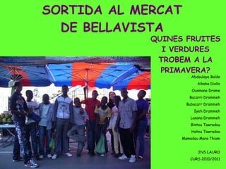 SORTIDA AL MERCAT DE BELLAVISTA QUINES FRUITES I VERDURES TROBEM A LA PRIMAVERA? Abdoulaye Balde Alkaba Diallo Ousmane Drame Bacarri Drammeh Bubacarr Drammeh Iyeh Drammeh Lasana Drammeh Bintou Tawradou Hatou Tawradou Mamadou Mara Thiam INS LAURO CURS 2010/2011 