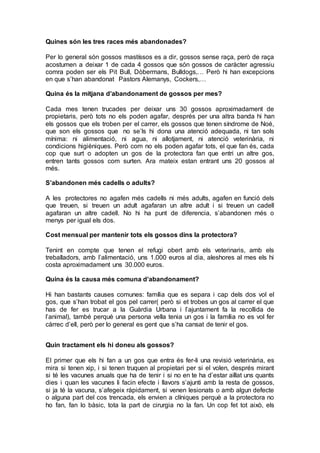 Quines són les tres races més abandonades?
Per lo general són gossos mastíssos es a dir, gossos sense raça, però de raça
acostumen a deixar 1 de cada 4 gossos que són gossos de caràcter agressiu
comra poden ser els Pit Bull, Dòbermans, Bulldogs,… Però hi han excepcions
en que s’han abandonat Pastors Alemanys, Cockers,…
Quina és la mitjana d’abandonament de gossos per mes?
Cada mes tenen trucades per deixar uns 30 gossos aproximadament de
propietaris, però tots no els poden agafar, després per una altra banda hi han
els gossos que els troben per el carrer, els gossos que tenen síndrome de Noé,
que son els gossos que no se’ls hi dona una atenció adequada, ni tan sols
mínima: ni alimentació, ni agua, ni allotjament, ni atenció veterinària, ni
condicions higièniques. Però com no els poden agafar tots, el que fan és, cada
cop que surt o adopten un gos de la protectora fan que entri un altre gos,
entren tants gossos com surten. Ara mateix estan entrant uns 20 gossos al
més.
S’abandonen més cadells o adults?
A les protectores no agafen més cadells ni més adults, agafen en funció dels
que treuen, si treuen un adult agafaran un altre adult i si treuen un cadell
agafaran un altre cadell. No hi ha punt de diferencia, s’abandonen més o
menys per igual els dos.
Cost mensual per mantenir tots els gossos dins la protectora?
Tenint en compte que tenen el refugi obert amb els veterinaris, amb els
treballadors, amb l’alimentació, uns 1.000 euros al dia, aleshores al mes els hi
costa aproximadament uns 30.000 euros.
Quina és la causa més comuna d’abandonament?
Hi han bastants causes comunes: família que es separa i cap dels dos vol el
gos, que s’han trobat el gos pel carrer( però si et trobes un gos al carrer el que
has de fer es trucar a la Guàrdia Urbana i l’ajuntament fa la recollida de
l’animal), també perquè una persona vella tenia un gos i la família no es vol fer
càrrec d’ell, però per lo general es gent que s’ha cansat de tenir el gos.
Quin tractament els hi doneu als gossos?
El primer que els hi fan a un gos que entra és fer-li una revisió veterinària, es
mira si tenen xip, i si tenen truquen al propietari per si el volen, després mirant
si té les vacunes anuals que ha de tenir i si no en te ha d’estar aïllat uns quants
dies i quan les vacunes li facin efecte i llavors s’ajunti amb la resta de gossos,
si ja té la vacuna, s’afegeix ràpidament, si venen lesionats o amb algun defecte
o alguna part del cos trencada, els envien a clíniques perquè a la protectora no
ho fan, fan lo bàsic, tota la part de cirurgia no la fan. Un cop fet tot això, els
 