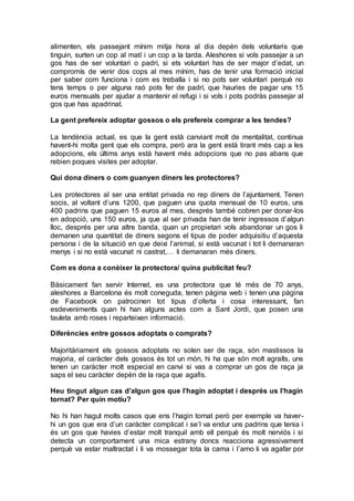 alimenten, els passejant mínim mitja hora al dia depèn dels voluntaris que
tinguin, surten un cop al matí i un cop a la tarda. Aleshores si vols passejar a un
gos has de ser voluntari o padrí, si ets voluntari has de ser major d’edat, un
compromís de venir dos cops al mes mínim, has de tenir una formació inicial
per saber com funciona i com es treballa i si no pots ser voluntari perquè no
tens temps o per alguna raó pots fer de padrí, que hauries de pagar uns 15
euros mensuals per ajudar a mantenir el refugi i si vols i pots podràs passejar al
gos que has apadrinat.
La gent prefereix adoptar gossos o els prefereix comprar a les tendes?
La tendència actual, es que la gent està canviant molt de mentalitat, continua
havent-hi molta gent que els compra, però ara la gent està tirant més cap a les
adopcions, els últims anys està havent més adopcions que no pas abans que
rebien poques visites per adoptar.
Qui dona diners o com guanyen diners les protectores?
Les protectores al ser una entitat privada no rep diners de l’ajuntament. Tenen
socis, al voltant d’uns 1200, que paguen una quota mensual de 10 euros, uns
400 padrins que paguen 15 euros al mes, després també cobren per donar-los
en adopció, uns 150 euros, ja que al ser privada han de tenir ingressos d’algun
lloc, després per una altre banda, quan un propietari vols abandonar un gos li
demanen una quantitat de diners segons el tipus de poder adquisitiu d’aquesta
persona i de la situació en que deixi l’animal, si està vacunat i tot li demanaran
menys i si no està vacunat ni castrat,… li demanaran més diners.
Com es dona a conèixer la protectora/ quina publicitat feu?
Bàsicament fan servir Internet, es una protectora que té més de 70 anys,
aleshores a Barcelona és molt coneguda, tenen pàgina web i tenen una pàgina
de Facebook on patrocinen tot tipus d’oferta i cosa interessant, fan
esdeveniments quan hi han alguns actes com a Sant Jordi, que posen una
tauleta amb roses i reparteixen informació.
Diferències entre gossos adoptats o comprats?
Majoritàriament els gossos adoptats no solen ser de raça, són mastissos la
majoria, el caràcter dels gossos és tot un món, hi ha que són molt agraïts, uns
tenen un caràcter molt especial en canvi si vas a comprar un gos de raça ja
saps el seu caràcter depèn de la raça que agafis.
Heu tingut algun cas d’algun gos que l’hagin adoptat i després us l’hagin
tornat? Per quin motiu?
No hi han hagut molts casos que ens l’hagin tornat però per exemple va haver-
hi un gos que era d’un caràcter complicat i se’l va endur uns padrins que tenia i
és un gos que havies d’estar molt tranquil amb ell perquè és molt nerviós i si
detecta un comportament una mica estrany doncs reacciona agressivament
perquè va estar maltractat i li va mossegar tota la cama i l’amo li va agafar por
 