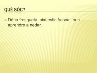 QUÈ SÓC?
 Dóna fresqueta, així estic fresca i puc
aprendre a nedar.
 