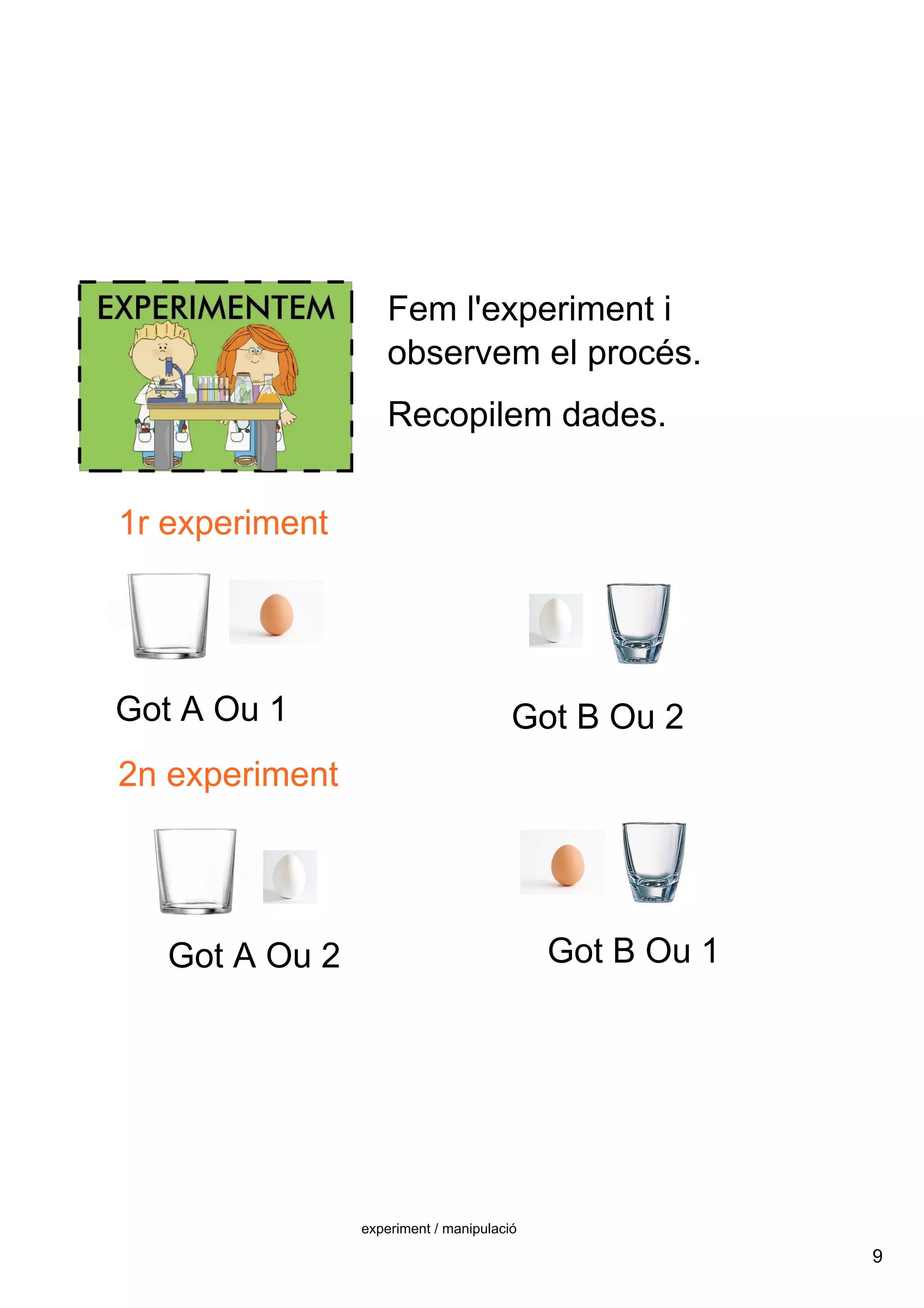 9
experiment / manipulació
Fem l'experiment i 
observem el procés.
Recopilem dades.
1r experiment
Got A Ou 2
2n experiment
Got B Ou 2Got A Ou 1
Got B Ou 1
 