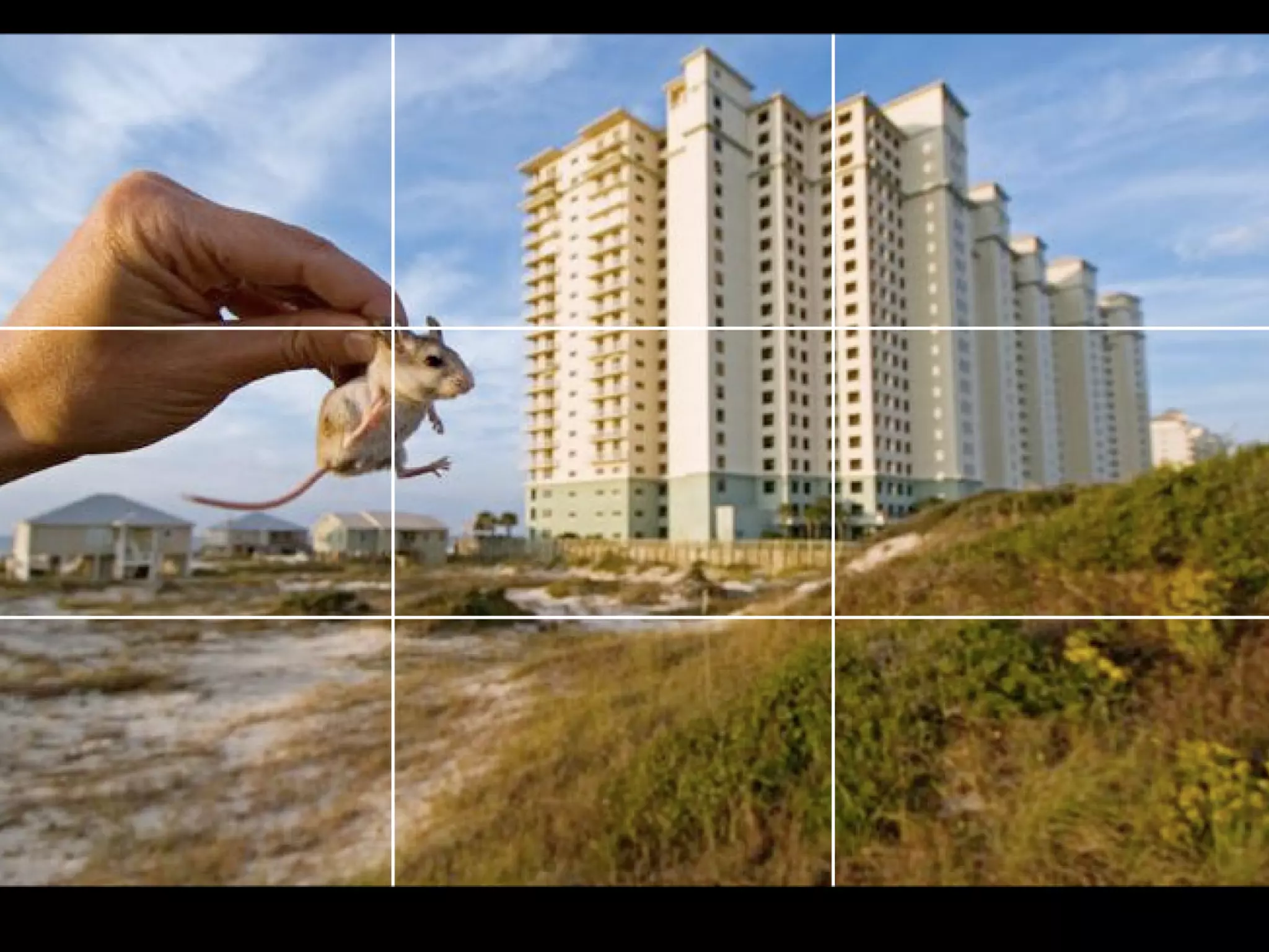 Quinn poynter photojournalism_basics