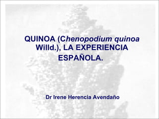 QUINOA ( C henopodium quinoa  Willd.), LA EXPERIENCIA ESPAÑOLA.   Dr Irene Herencia Avenda ñ o 