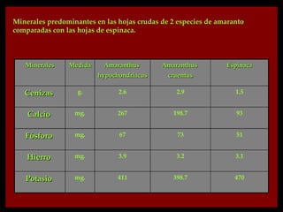 Minerales predominantes en las hojas crudas de 2 especies de amaranto
comparadas con las hojas de espinaca.



   Minerales    Medida     Amaranthus       Amaranthus         Espinaca
                         hypochondriacus      cruentus

   Cenizas         g.          2.6              2.9               1.5


    Calcio        mg.          267             198.7              93


   Fósforo        mg.          67                73               51


    Hierro        mg.          3.9              3.2               3.1


   Potasio        mg.          411             398.7              470
 