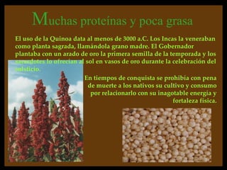 Muchas proteínas y poca grasa
El uso de la Quinoa data al menos de 3000 a.C. Los Incas la veneraban
como planta sagrada, llamándola grano madre. El Gobernador
plantaba con un arado de oro la primera semilla de la temporada y los
sacerdotes lo ofrecían al sol en vasos de oro durante la celebración del
solsticio.
                         En tiempos de conquista se prohibía con pena
                           de muerte a los nativos su cultivo y consumo
                            por relacionarlo con su inagotable energía y
                                                         fortaleza física.
 