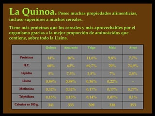 La Quinoa. Posee muchas propiedades alimenticias,
incluso superiores a muchos cereales.
Tiene más proteínas que los cereales y más aprovechables por el
organismo gracias a la mejor proporción de aminoácidos que
contiene, sobre todo la Lisina.

                       Quinoa   Amaranto   Trigo   Maíz    Arroz


      Proteínas        14%       16%       11,6%   9,8%    7,7%
        H.C.           60%       62%       69,7%   70%     74,9%
       Lípidos          5%       7,5%      3,5%     7%     2,8%
       Lisina          0,89%     0,89%     0,36%   0,22%     -
     Metíonina         0,32%     0,32%     0,17%   0,17%   0,27%
     Triptófano        0,15%     0,15%     0,14%   0,07%   0,1%
  Calorías en 100 g.    341       333       309     338     353
 