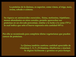 La proteína de la Quinoa, es superior, como vimos, al trigo, maíz,
      avena, cebada o centeno.


 Su riqueza en aminoácidos esenciales, -lisína, metíonina, triptófano-,
 menos abundantes en otros cereales, permite aprovechar sus
 proteínas en un elevado porcentaje, similar a la leche o la carne (75%)
 lo cual indica que solo el huevo superaría esta cantidad (95%).



Por ello se recomienda para completar dietas vegetarianas que pueden
carecer de proteínas.



                  La Quinoa también contiene cantidad apreciable de
                 vitaminas C, E, F y B (tiamina, riboflavina y niacina).
                     Se digiere fácilmente y germina en poco tiempo.
 