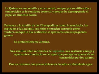 La Quinoa es una semilla y no un cereal, aunque por su utilización y
composición se le considere como tal y porque ha desempeñado el
papel de alimento básico.


Pertenece a la familia de las Chenepodium (como la remolacha, las
espinacas o las acelgas), sus hojas se pueden consumir como
verdura, aunque lo que realmente se aprovecha son sus pequeños
granos.

       Es preferentemente alcalina.


    Sus semillas están recubiertas de saponina, una sustancia amarga y
      espumante en contacto con el agua que protege los granos de ser
                                           consumidos por los pájaros.

   Para su consumo, los granos deben ser lavados en abundante agua.
 