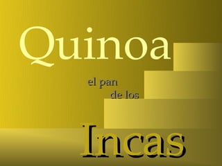 Quinoa
  el pan
       de los




  Incas
 