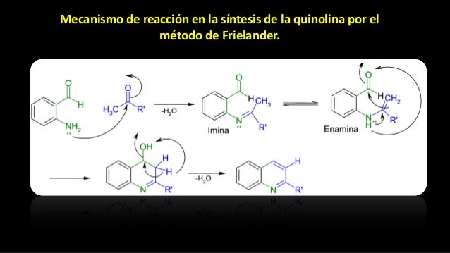 Quinolinas y isoquinolinas Dr. Murali